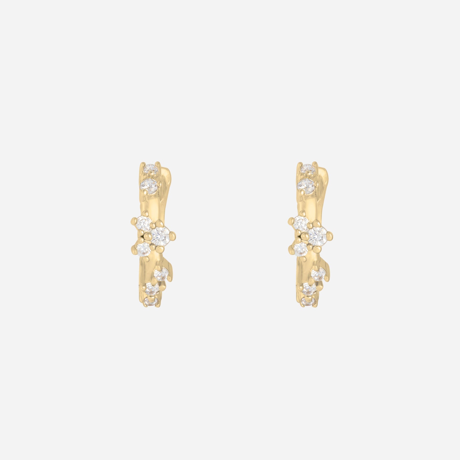 Paire de boucles Trésor